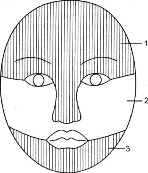 Схема зон периферической иннервации кожи лица ветвями тройничного нерва